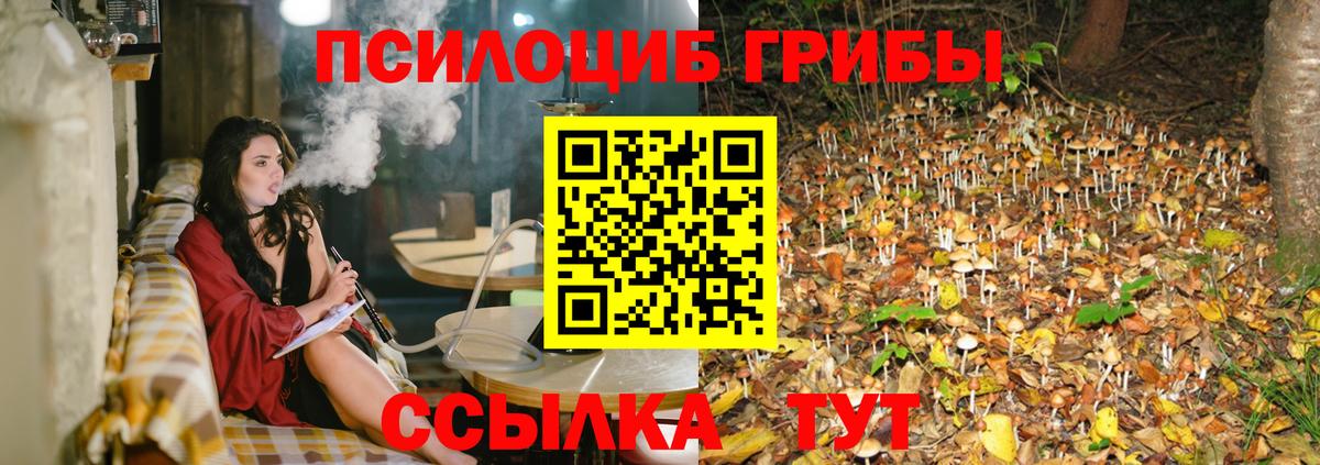 Псилоцибиновые грибы ЛСД Армавир