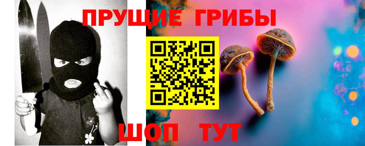Армавир  Псилоцибиновые грибы мицелий  Вход с VPN 